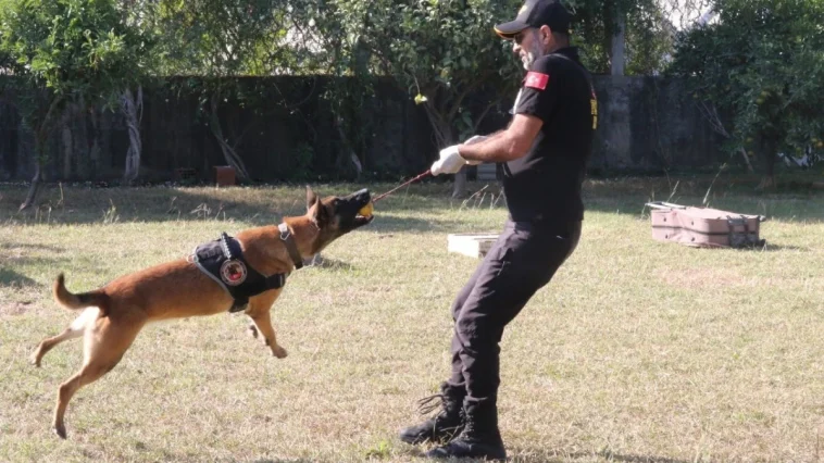 Narkotik köpekler oyuncak peşinde, madde peşinde değil