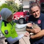 Yangında telef olduğu sanılan kedi dolabın arkasında bulundu