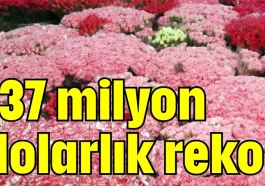 137 milyon dolarlık rekor
