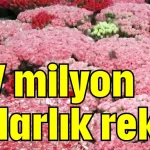 137 milyon dolarlık rekor