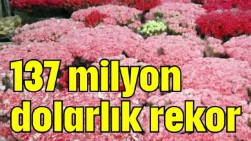 137 milyon dolarlık rekor