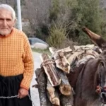 3 gün önce kayboldu cansız bedeni bulundu