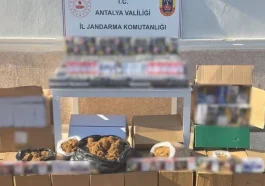 480 bin doldurulmuş makaron ele geçirildi