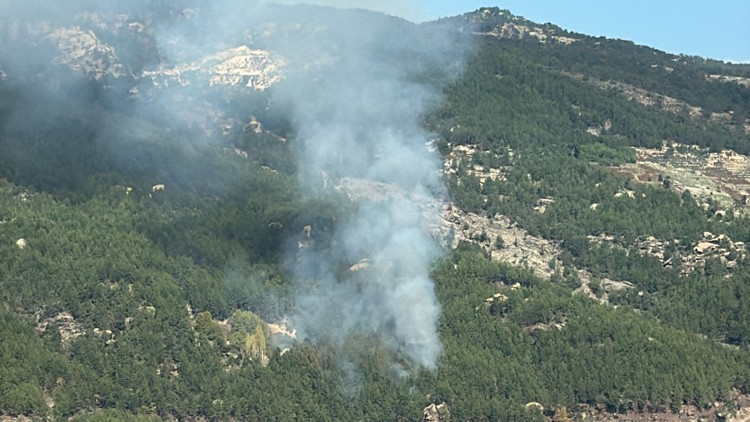 Muğlada ormanlık alanda yangın çıktı