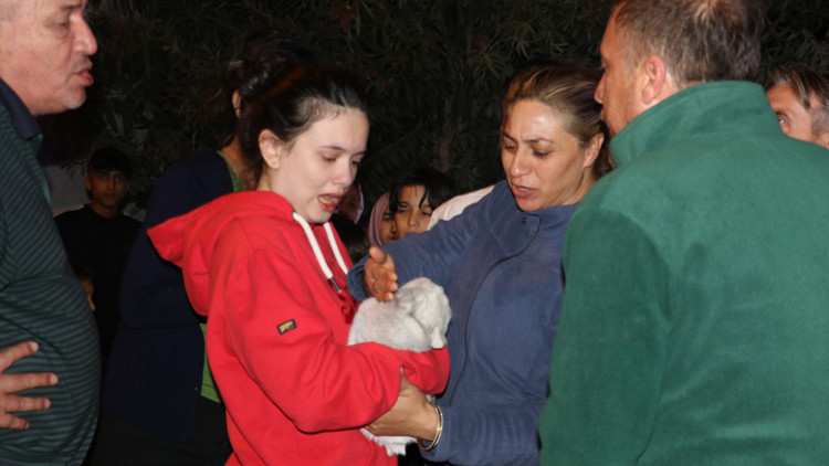 Yangında 2 kedi öldü, ev sahipleri sinir krizi geçirdi