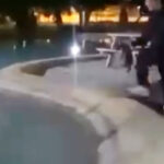 Sokak kedisini defalarca süs havuzuna attılar