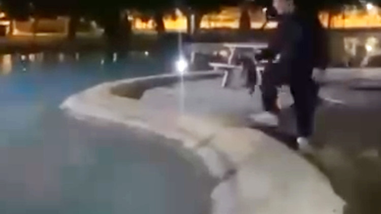 Sokak kedisini defalarca süs havuzuna attılar