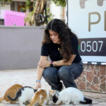 Kedinin bastonla vurularak öldürüldüğü iddiasıyla şikayetçi oldu