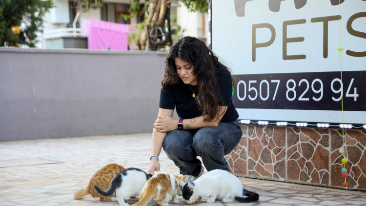 Kedinin bastonla vurularak öldürüldüğü iddiasıyla şikayetçi oldu