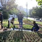 Trafik Parkı çiçek bahçesine dönüştü