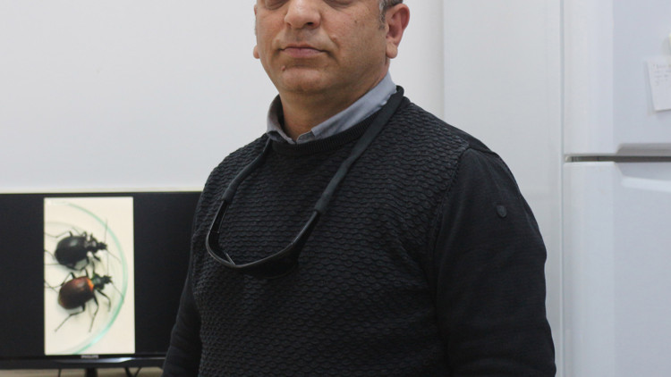 Oteldeki zehirlenme sonrası alüminyum fosfit uyarısı: Ambar hapı olarak biliniyor, bakkalda bile satılıyor