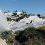 Manavgatta hortum, seralara zarar verdi