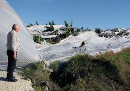 Manavgatta hortum, seralara zarar verdi