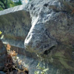 Büyük İskenderin fethedemediği antik kentte, 2 bin yıllık aslan başlı çörten kırıldı