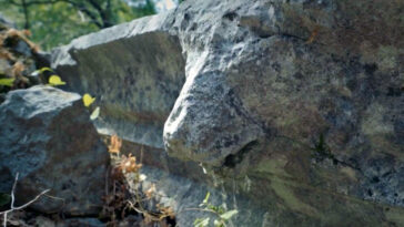 Büyük İskenderin fethedemediği antik kentte, 2 bin yıllık aslan başlı çörten kırıldı