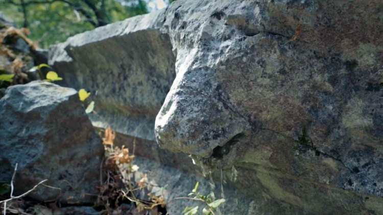 Büyük İskenderin fethedemediği antik kentte, 2 bin yıllık aslan başlı çörten kırıldı