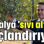 Antalya 'sıvı altın'ı taçlandırıyor