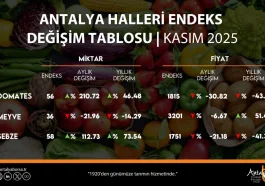 Antalya TB kasım ayı hal endeksini açıkladı