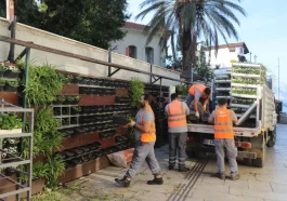 Antalya’da 4 milyon çiçek toprakla buluşuyor