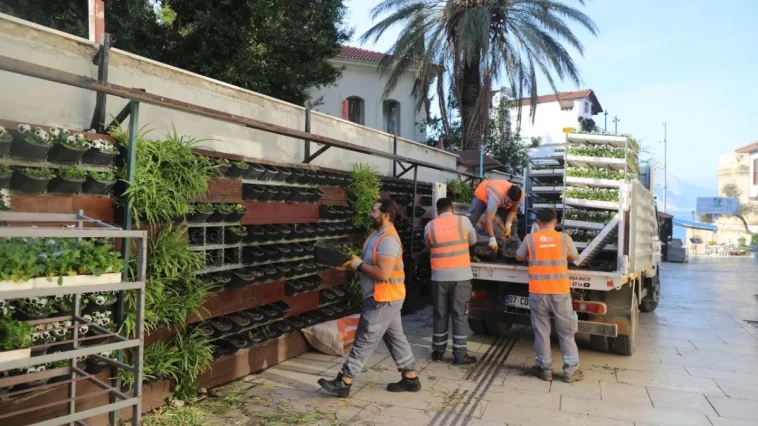 Antalya’da 4 milyon çiçek toprakla buluşuyor