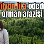 Antalya'da 40 milyon lira ödedikleri arsa orman arazisi çıktı