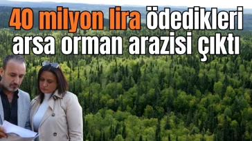 Antalya'da 40 milyon lira ödedikleri arsa orman arazisi çıktı