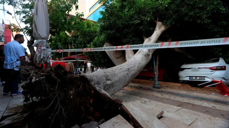 Antalya’da ağaç park halindeki araçların üzerine devrildi