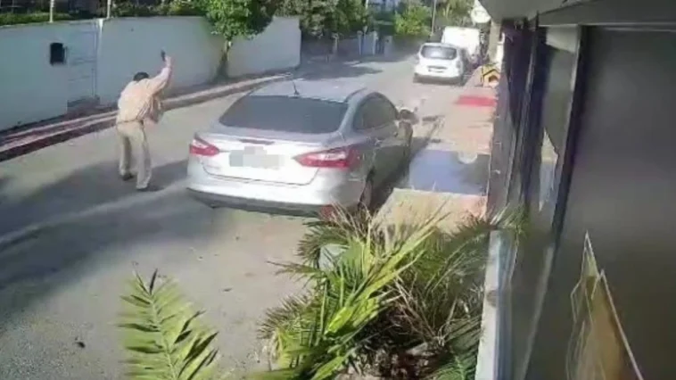 Antalya’da köpeği vuran emekli polise hapis istemi