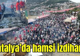 Antalya'da hamsi izdihamı