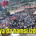 Antalya'da hamsi izdihamı