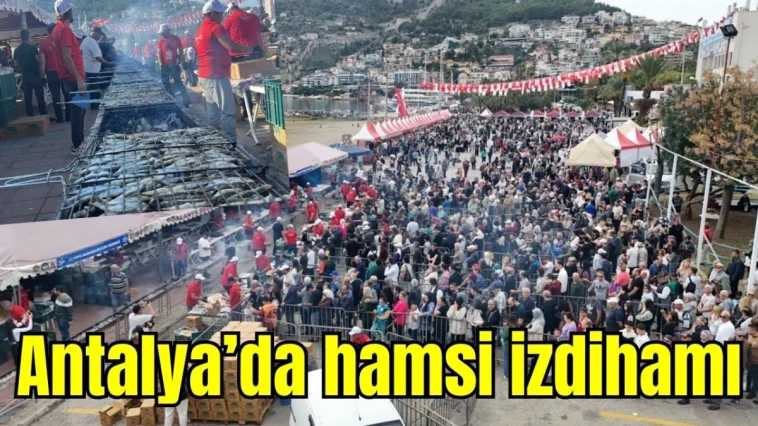 Antalya'da hamsi izdihamı