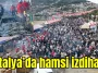 Antalya'da hamsi izdihamı