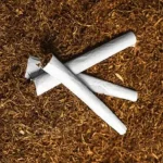 Antalya'da kaçak tütün ve makaron baskını