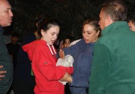 Antalya'da yangında 2 kedi öldü, ev sahipleri sinir krizi geçirdi