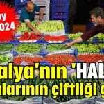 Antalya'nın 'HAL'leri babalarının çiftliği gibi...