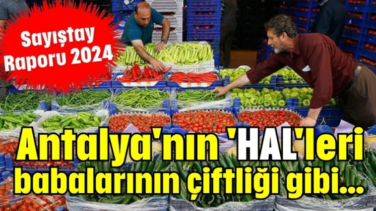 Antalya'nın 'HAL'leri babalarının çiftliği gibi...