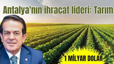 Antalya'nın ihracat lideri tarım, 1 milyar doları aştı
