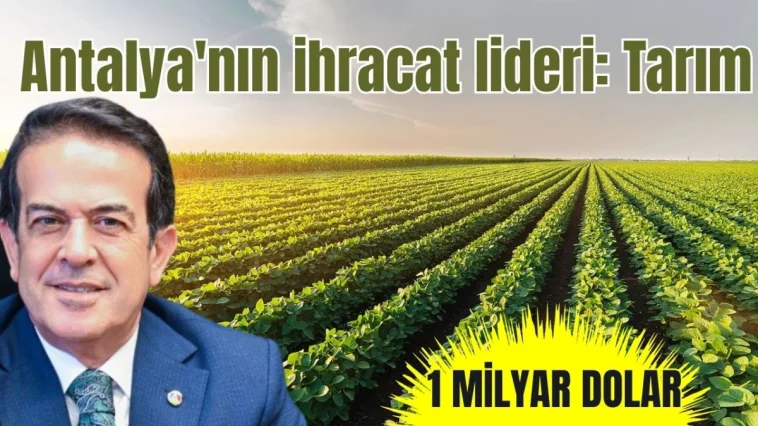 Antalya'nın ihracat lideri tarım, 1 milyar doları aştı