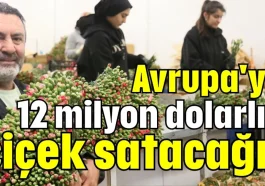 Avrupa'ya 12 milyon dolarlık çiçek satacağız