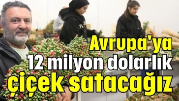 Avrupa'ya 12 milyon dolarlık çiçek satacağız