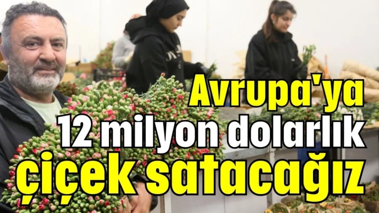Avrupa'ya 12 milyon dolarlık çiçek satacağız