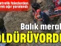 Balık merakı öldürüyordu
