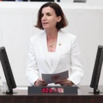 CHP’li Aliye Coşar’dan Aile Bakanlığı bütçesine tepki
