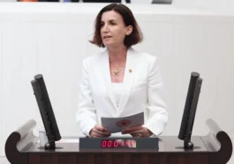 CHP’li Aliye Coşar’dan Aile Bakanlığı bütçesine tepki