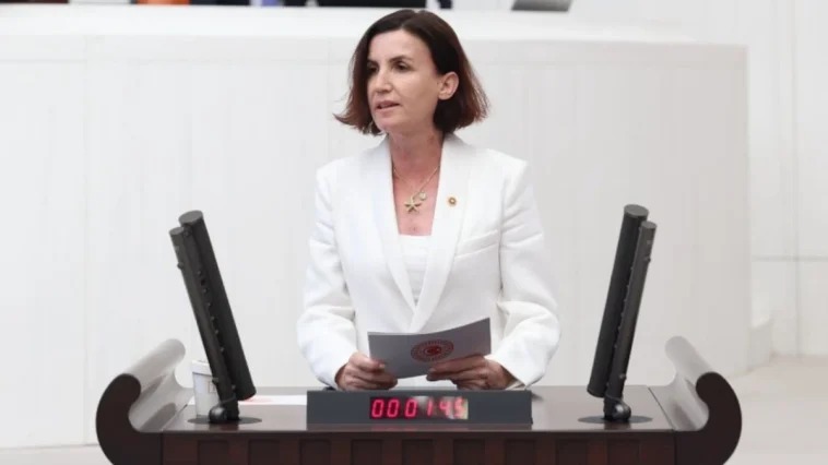 CHP’li Aliye Coşar’dan Aile Bakanlığı bütçesine tepki