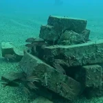 Deniz dibinde balıklar için sığınak