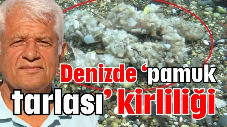 Denizde ‘pamuk tarlası’ kirliliği