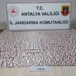 Finike'de uyuşturucu operasyonu: 1 tutuklama