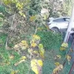 Geri viteste unutulan araç bahçeye uçtu