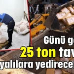 Günü geçmiş 25 ton tavuğu Antalyalılara yedireceklerdi